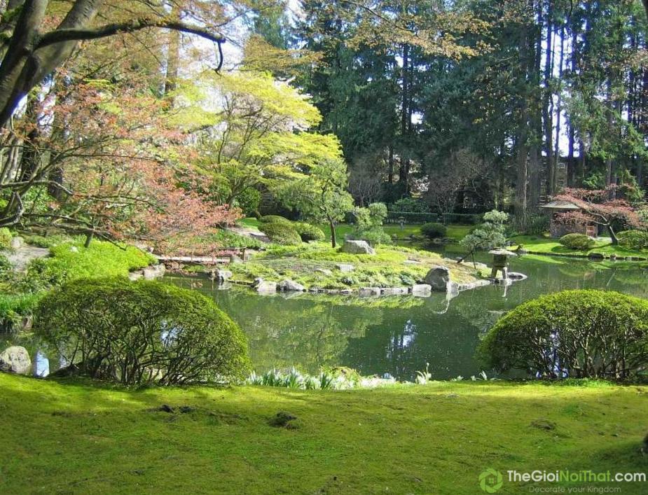Zen Garden (4)