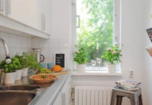 Cách đặt cây xanh hợp tài vận