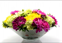 hoa cuc (3)