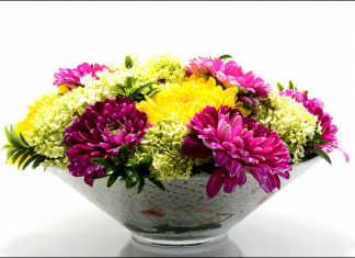 hoa cuc (3)