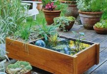 “Bí kíp” trang trí sân vườn siêu chất bằng châu tiểu cảnh mini. tieu canh mini