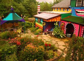 “Độc đáo” với sự cải tạo đầy màu sắc của ngôi nhà ven hồ mang đậm cá tính người nghệ sĩ. ngoi nha ven ho ca tinh