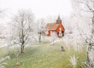 Ngôi nhà vintage ẩn trong rừng sâu nhưng lại đẹp và tiện nghi đến mức ai cũng ao ước được sở hữu. ngoi nha vintage