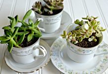 Trang trí nhà độc lạ bằng cách tận dụng sáng tạo những vật dụng bỏ đi. tai che do dung cu