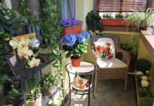 thiet ke lo gia