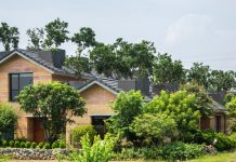 nha trong buoi tren san thuong