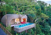 Lạ lẫm với resort toàn tổ chim trên cao nhưng lại vô cùng lãng mạn khi ngắm được toàn cảnh xung quanh. resort to chim