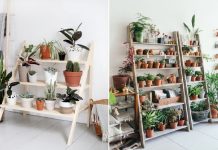 Kệ cũ bỏ đi sao không biến chúng thành vật trang trí bắt mắt cho khu vườn của bạn thêm lung linh? tan-dung-do-cu-lam-noi-ngoai-that