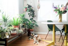 Dù là nhà cấp 4 nhưng đó lại là tổ ấm đầy yêu thương của cặp vợ chồng yêu nhau từ thời học sinh nha cap 4 cua cap vo chong tre